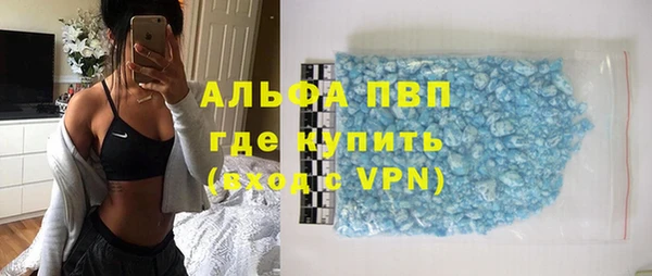 индика Бронницы