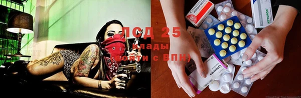 молекула духа Бородино