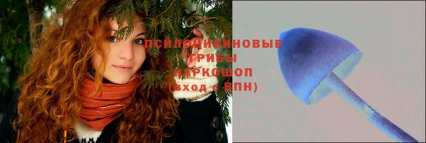 молекула духа Бородино