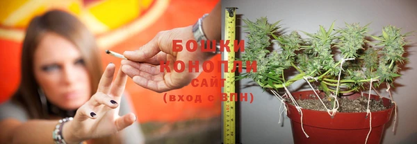 индика Бронницы