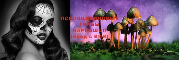 ешки Богородск