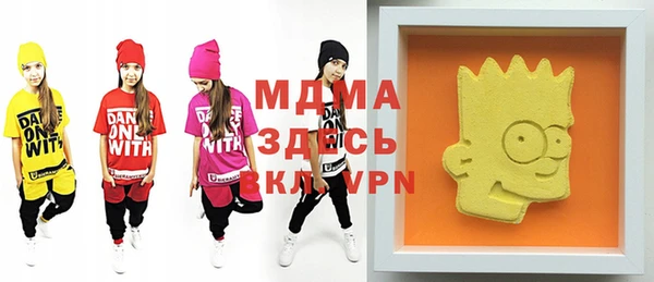 индика Бронницы