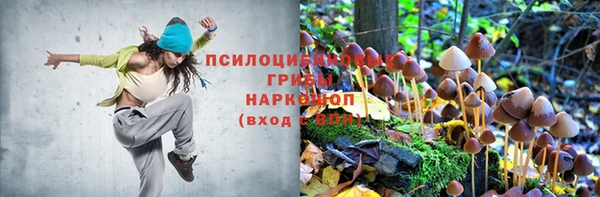 винт Сафоново
