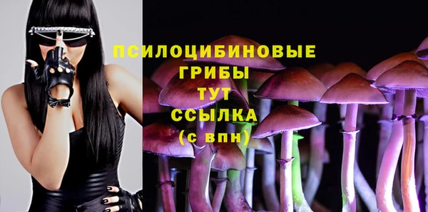 молекула духа Бородино