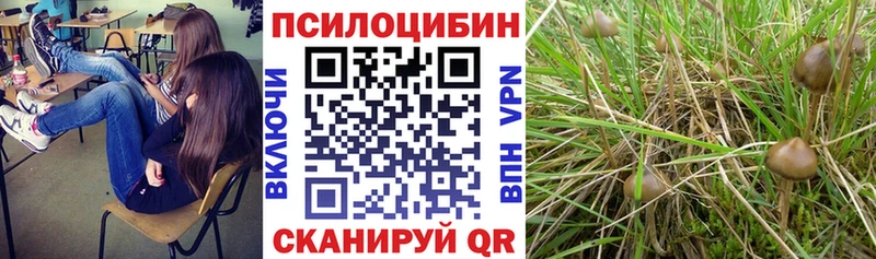 Галлюциногенные грибы мицелий закладка Будённовск